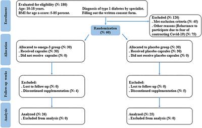 Effects of omega-3 supplementation on endothelial function, vascular structure, and metabolic parameters in adolescents with type 1 diabetes mellitus: A randomized clinical trial